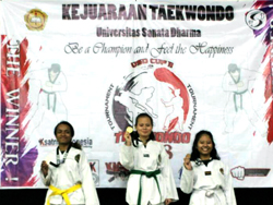 USD Sukses Selenggarakan Kejuaraan Taekwondo USD CUP II :: usd.ac.id
