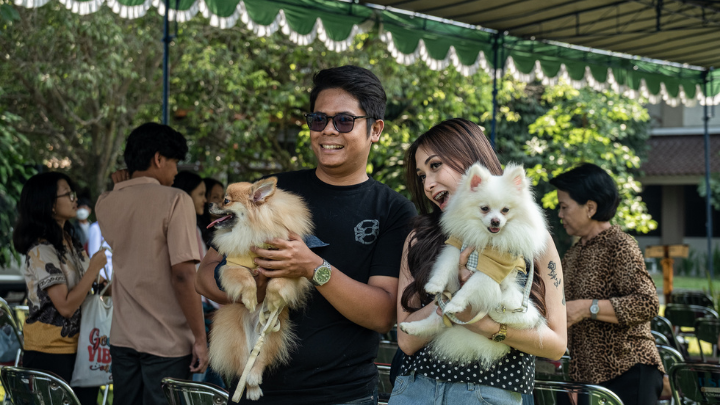 Foto para Pawrents bersama anabul 3