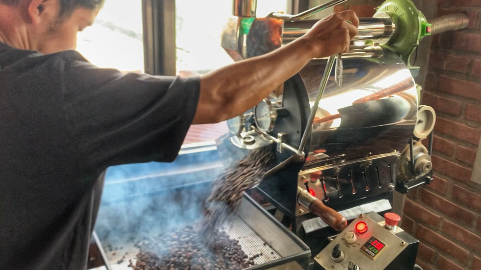 produksi kopi Tumago produksi kopi Tumago